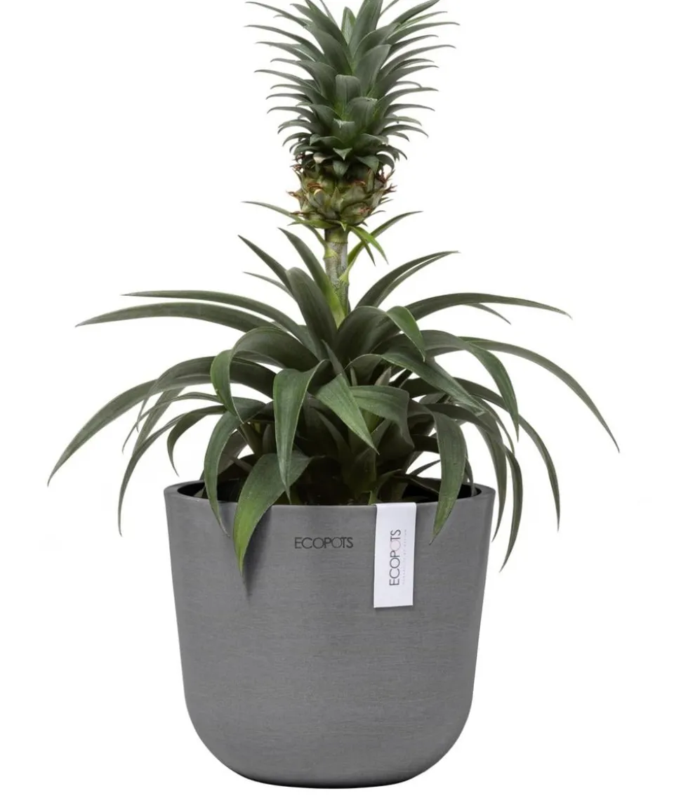 Ecopots Kunststoff-Topf Oslo Mini, rund