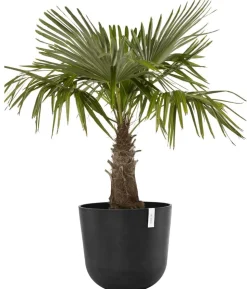 Ecopots Kunststoff-Topf Oslo mit Wassersystem, rund
