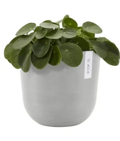Ecopots Kunststoff-Topf Oslo mit Wassersystem, rund