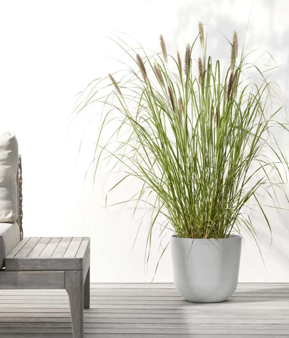 Ecopots Kunststoff-Topf Oslo mit Wassersystem, rund