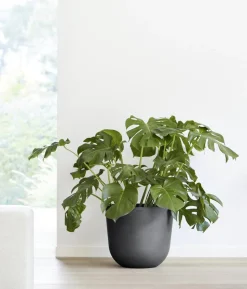 Ecopots Kunststoff-Topf Oslo, rund