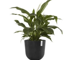 Ecopots Kunststoff-Topf Oslo, rund