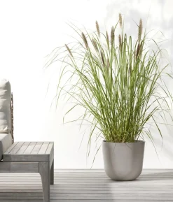 Ecopots Kunststoff-Topf Oslo mit Wassersystem, rund