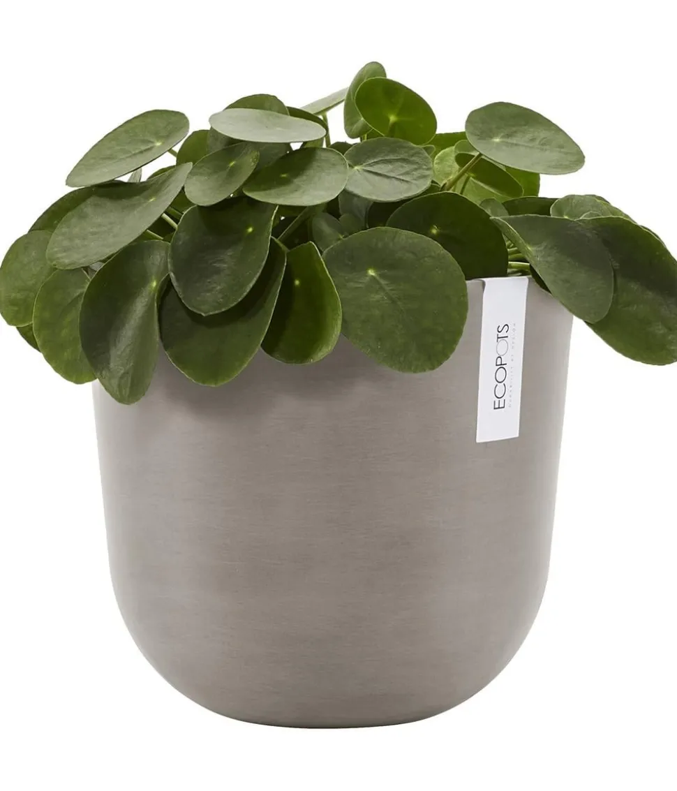 Ecopots Kunststoff-Topf Oslo mit Wassersystem, rund