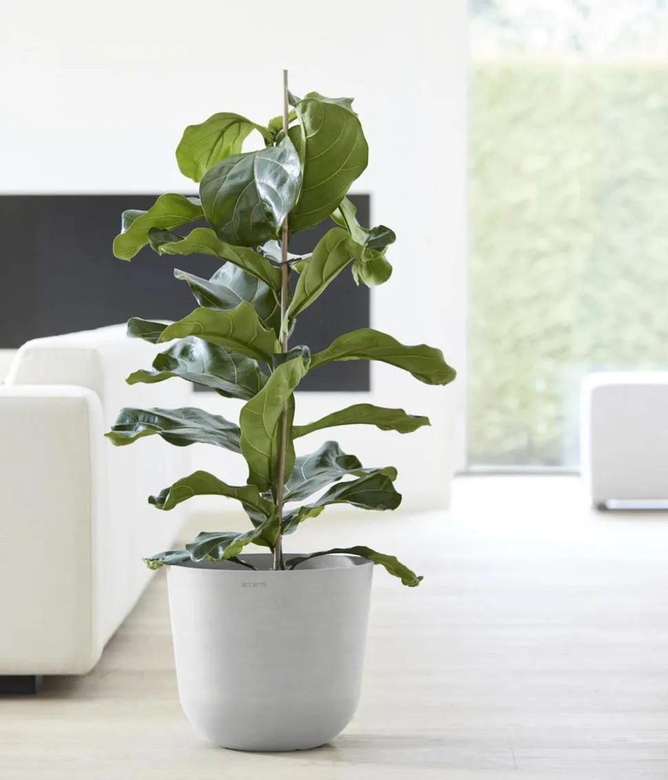 Ecopots Kunststoff-Topf Oslo mit Wassersystem, rund