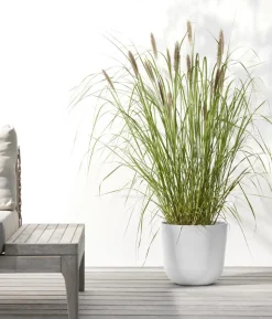 Ecopots Kunststoff-Topf Oslo mit Wassersystem, rund