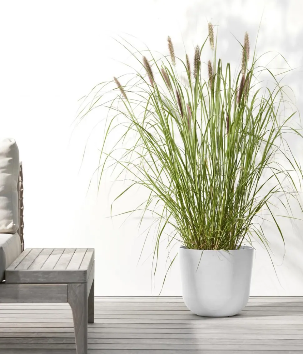 Ecopots Kunststoff-Topf Oslo mit Wassersystem, rund