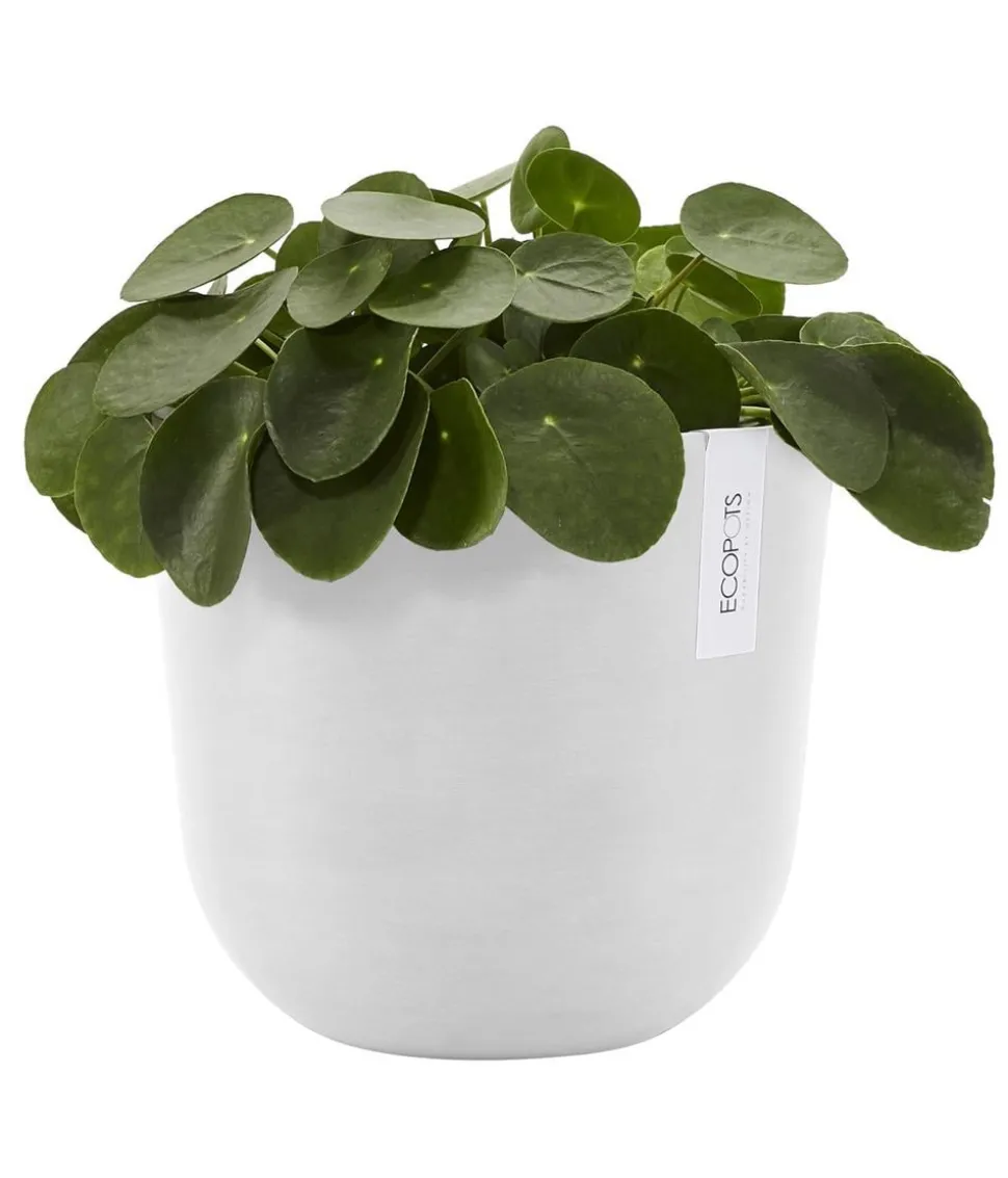 Ecopots Kunststoff-Topf Oslo mit Wassersystem, rund