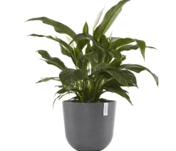 Ecopots Kunststoff-Topf Oslo, rund