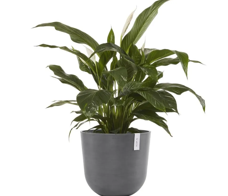 Ecopots Kunststoff-Topf Oslo, rund