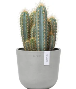 Ecopots Kunststoff-Topf Oslo Mini, rund