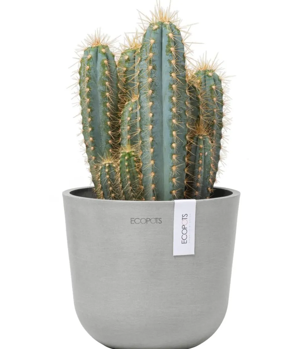 Ecopots Kunststoff-Topf Oslo Mini, rund
