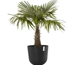 Ecopots Kunststoff-Topf Oslo, rund