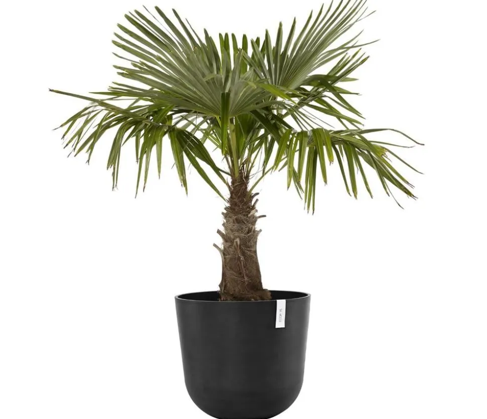 Ecopots Kunststoff-Topf Oslo, rund