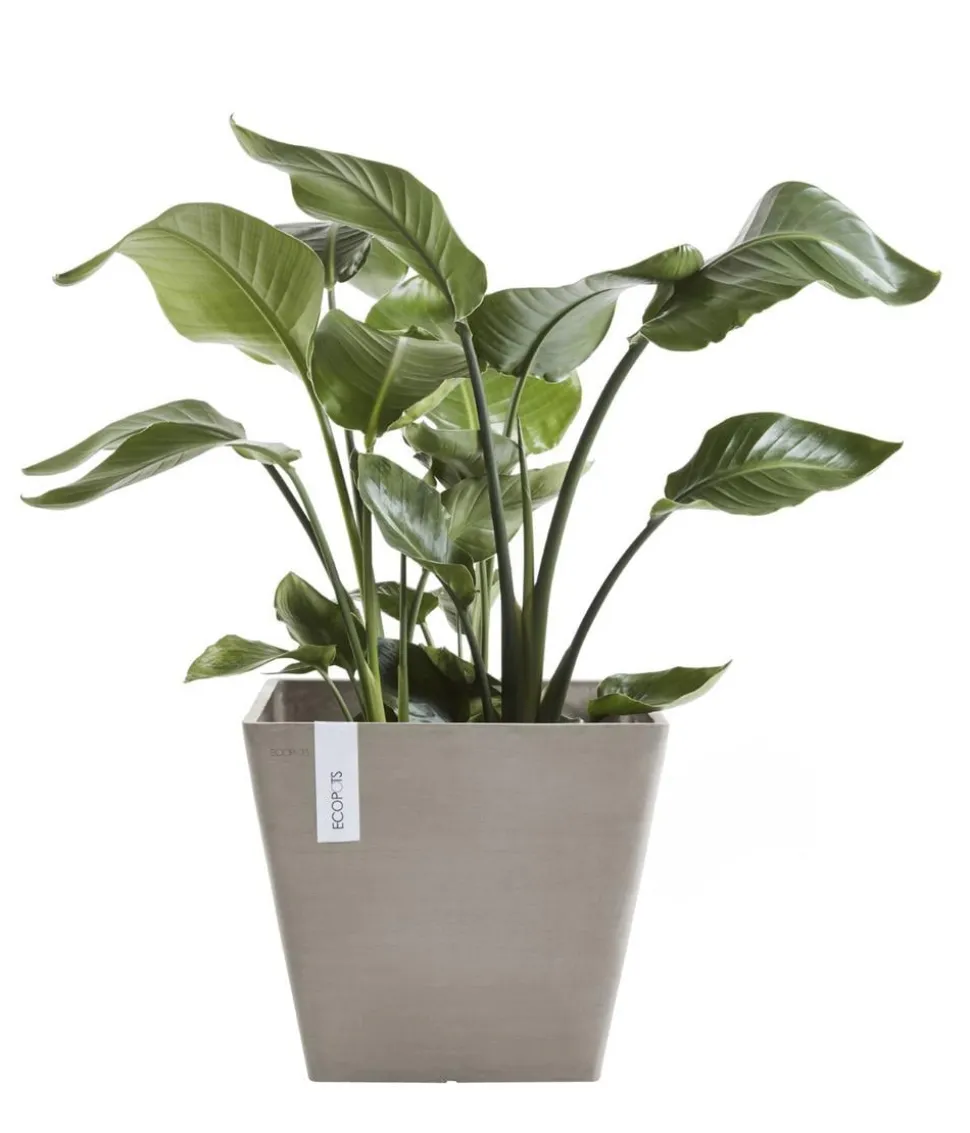 Ecopots Kunststoff-Topf Rotterdam, quadratisch