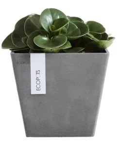 Ecopots Kunststoff-Topf Rotterdam, quadratisch