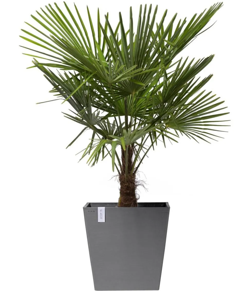 Ecopots Kunststoff-Topf Rotterdam mit Rollen und Wassersystem, quadratisch