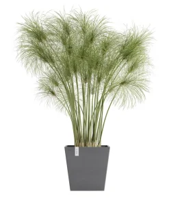 Ecopots Kunststoff-Topf Rotterdam mit Wassersystem, quadratisch