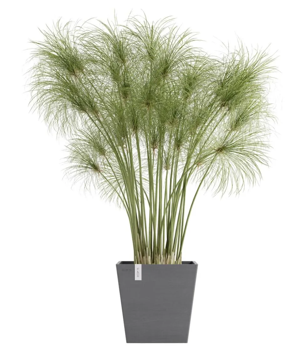 Ecopots Kunststoff-Topf Rotterdam mit Wassersystem, quadratisch