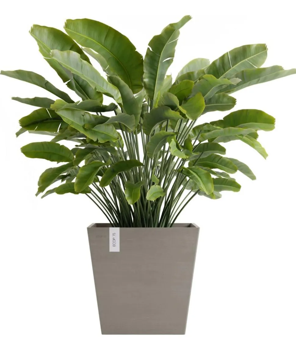 Ecopots Kunststoff-Topf Rotterdam mit Wassersystem, quadratisch