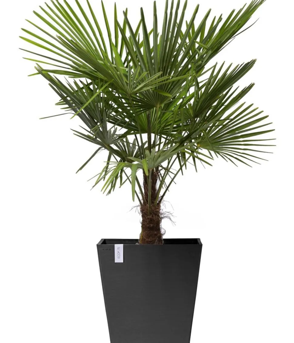 Ecopots Kunststoff-Topf Rotterdam mit Rollen und Wassersystem, quadratisch