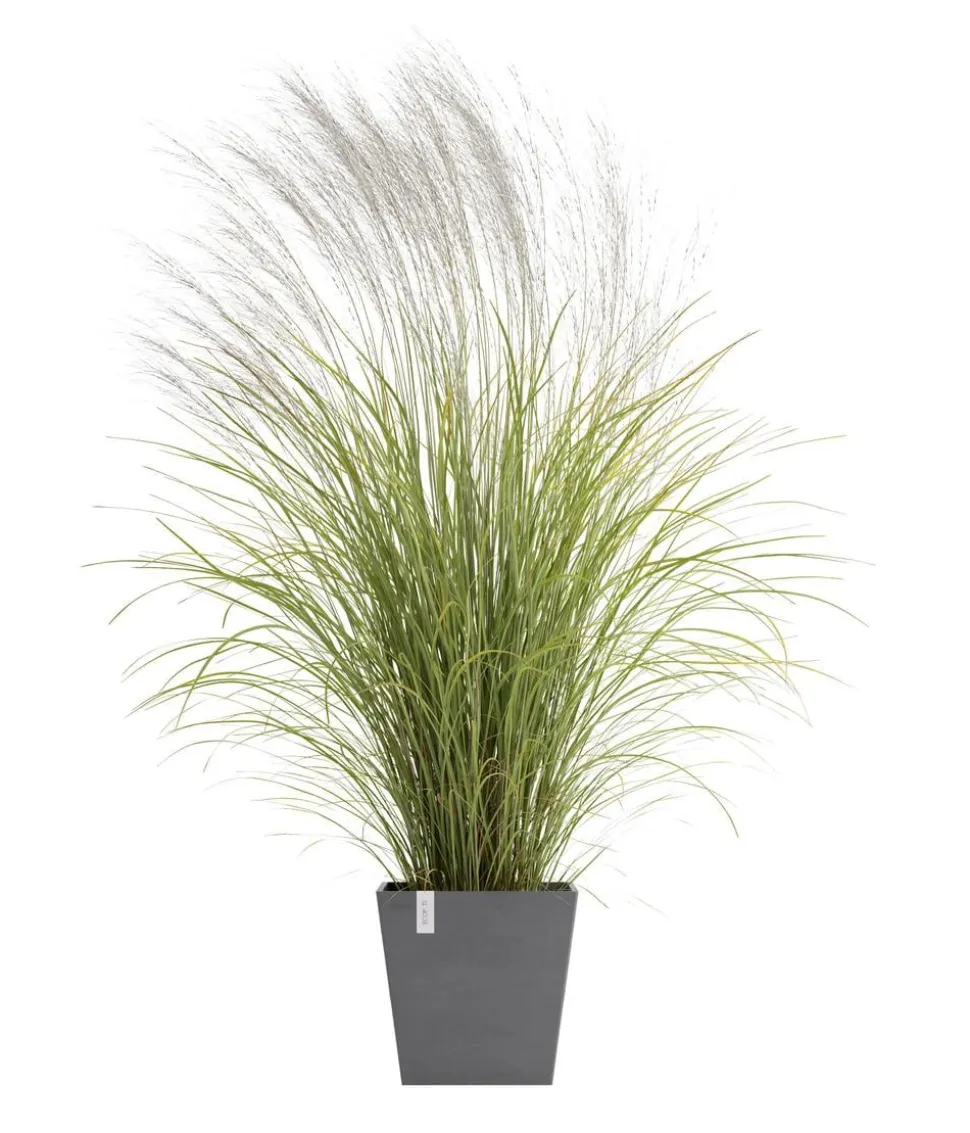 Ecopots Kunststoff-Topf Rotterdam mit Wassersystem, quadratisch