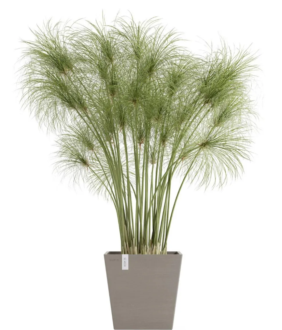 Ecopots Kunststoff-Topf Rotterdam mit Wassersystem, quadratisch