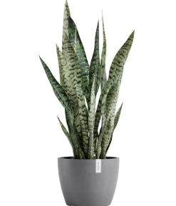 Ecopots Kunststoff-Topf Stockholm, rund