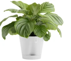 Ecopots Kunststoff-Topf Venice 2, rund