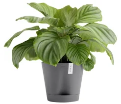 Ecopots Kunststoff-Topf Venice 2, rund