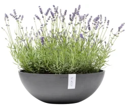 Ecopots Kunststoff-Topf Vienna, oval