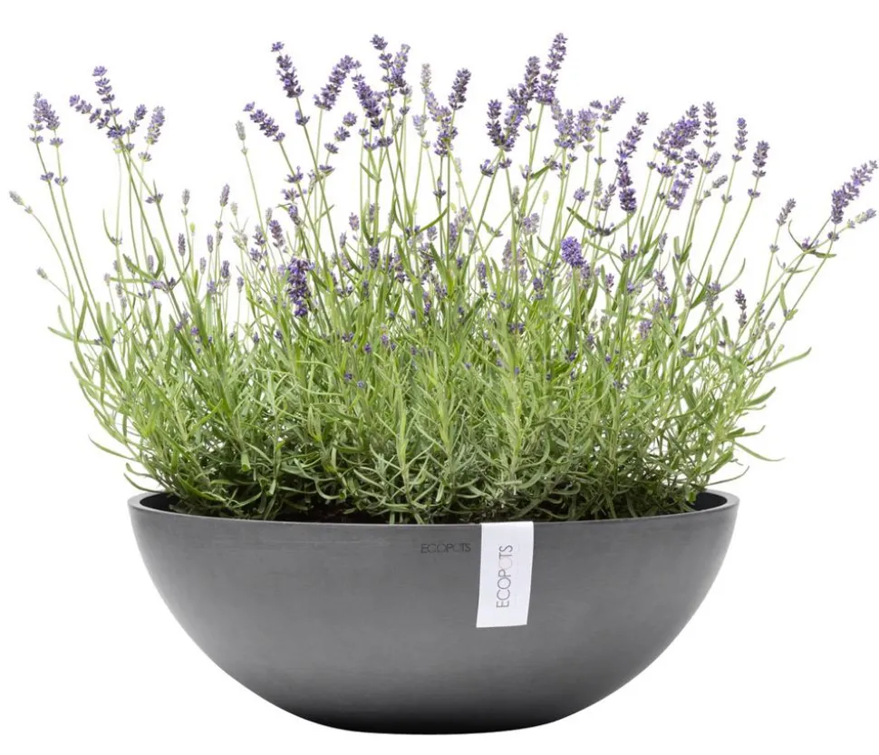 Ecopots Kunststoff-Topf Vienna, oval
