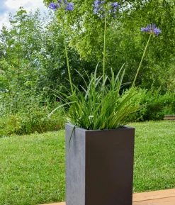 EDA Kunststoff-Topf Basalt Up, quadratisch, ca. B30/H50/T30 cm