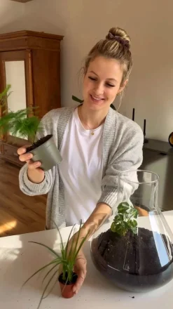 Flaschengarten DIY-Set Mini-Urwald, 8-teilig