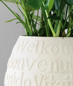 fleur ami Kunststoff-Vase Welcome, bauchig, creme