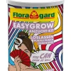 Floragard EasyGrow Anzucht-Kit Loslassen Purple Punch (Feminized), 1 l