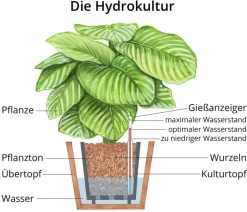 floreac Wasserstandsanzeiger