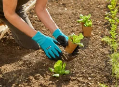 GARDENA Pflanz- und Bodenhandschuh