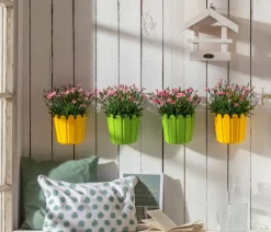 Garten-Nelke 'Peach Party'