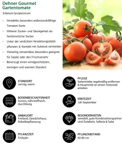 Gemüse-Set Tomatengenuss, 6-teilig