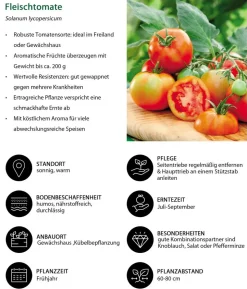 Gemüse-Set Brotzeit, 6-teilig