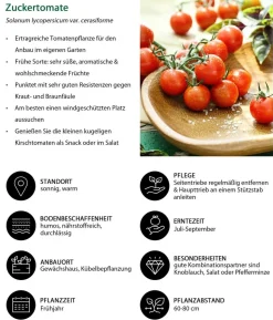 Gemüse-Set Brotzeit, 6-teilig