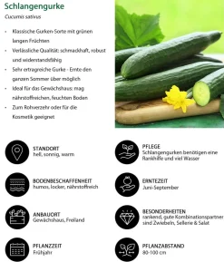 Gemüse-Set Grillparty, 6-teilig