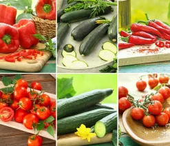 Gemüse-Set Großer Gemüsegarten, 6-teilig