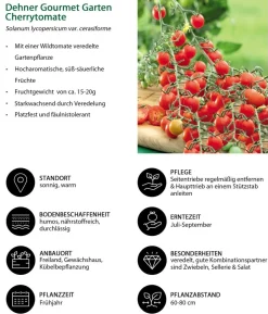 Gemüse-Set Tomatensalat, 3-teilig