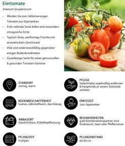 Gemüse-Set Tomatensalat, 3-teilig