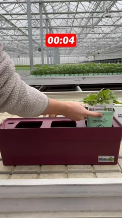 GREENBAR® Kräuterkasten, ca. B48/H15,5/T16 cm