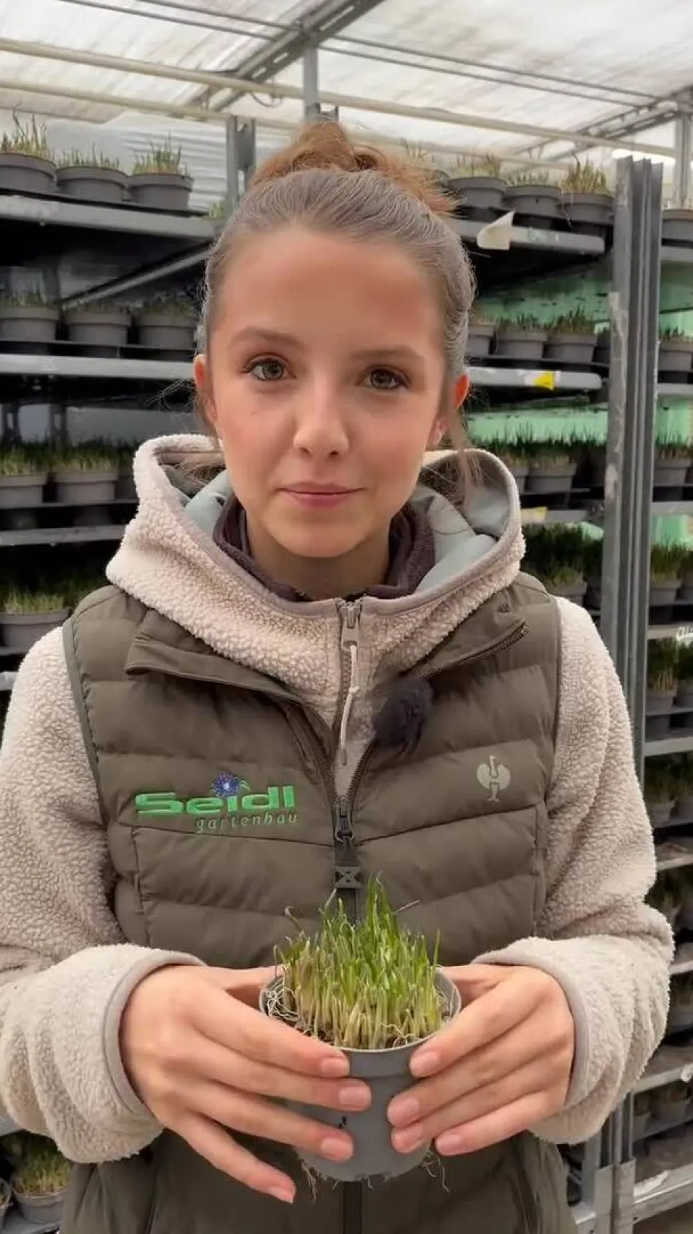 GREENBAR® Schnittlauch