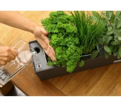 GREENBAR® Ersatzvlies, 3er-Set