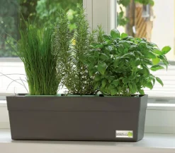 GREENBAR® Ersatzvlies, 3er-Set